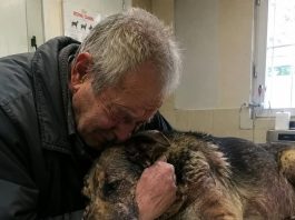 Starac je doveo svog psa da ga uspavaju jer nije mogao platiti liječenje… Ali veterinar je učinio nešto zbog čega su svi u klinici završili u suzama