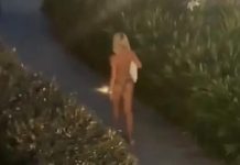 “ONA JE MONSTRUM”: Partner KRIŠOM snimio JOVANU JEREMIĆ usred noći! Ostao u ČUDU kad je video šta ona radi!!Srbija šokirana pogledajte ove prizore….