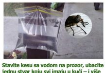 Stavite kesu sa vodom na prozor, ubacite jednu stvar koju svi imaju u kući – i više nikada nećete videti muhu