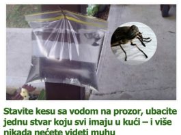 Stavite kesu sa vodom na prozor, ubacite jednu stvar koju svi imaju u kući – i više nikada nećete videti muhu
