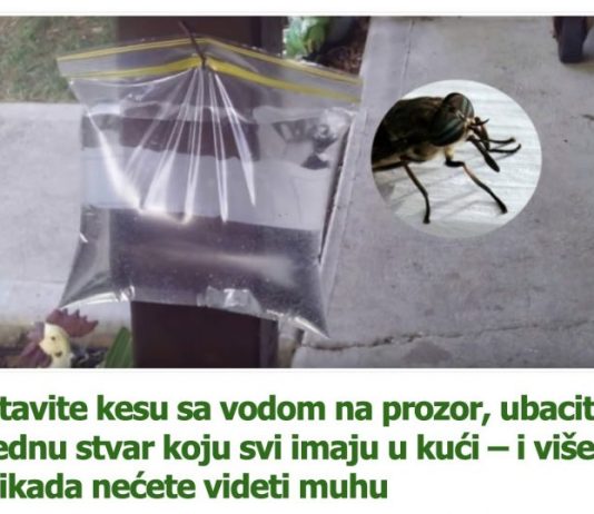 Stavite kesu sa vodom na prozor, ubacite jednu stvar koju svi imaju u kući – i više nikada nećete videti muhu