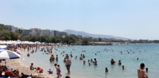 Horor na plažama u Grčkoj:! Srpski turisti u strahu: Ova strahota se pojavila na obali- Svi počeli da bježe glavom bez obzira (FOTO)
