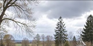 Tokom sahrane 60-godišnjeg farmera, njegov vjerni konj uletio je na groblje dok je nekoliko muškaraca pokušalo da zaustavi ludu životinju, a onda je kopitima počeo žestoko da udara u poklopac kovčega: svi prisutni su se smrzli od užasa kada se poklopac otvorio i vidjeli su šta se krije unutra 😱