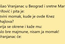 VIC DANA: Vranjanac u Beogradu