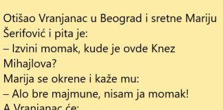 VIC DANA: Vranjanac u Beogradu