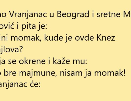 VIC DANA: Vranjanac u Beogradu