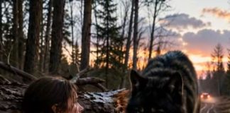 Muž je ostavio trudnu ženu samu u šumi, nadajući se da će je se riješiti i uzeti joj sav novac. Kada je pala noć, gigantski vuk se pojavio iz najdubljeg dijela šume, a ono što se zatim desilo bilo je zaista zastrašujuće… 😱 😱