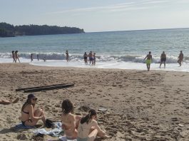 Panika kod Sutomora, JEZIVO MORSKO STVORENJE sledilo kupače!SVI PREDTRAVLJENI POBJEGLI SA PLAŽE GLAVOM BEZ OBZIRA!!!
