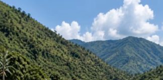 Muž je namjerno gurnuo slijepu ženu sa djelomično srušenog mosta i pravo u bijesnu rijeku, nadajući se da će je se zauvijek riješiti i učiniti da sve izgleda kao nesreća. Ali on nije imao pojma kakvu tajnu njegova žena krije ili kako će se taj dan završiti za njega… 😨