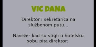 VIC DANA: Direktor i sekretarica na službenom putu