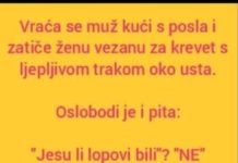 VIC DANA: Ne svađaj se sa molerima