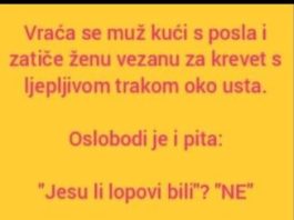 VIC DANA: Ne svađaj se sa molerima