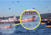 Snimala je svoju kćerku na plaži, ali nije ni slutila šta će se desiti narednih sekundi!