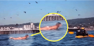 Snimala je svoju kćerku na plaži, ali nije ni slutila šta će se desiti narednih sekundi!