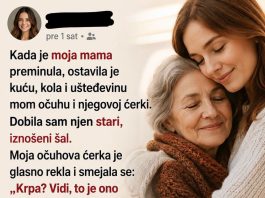 Svi su se podsmevali starom šalu koji sam nasledila, a onda je otkrivena tajna koja je promenila sve