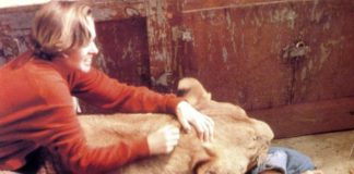 Žena je izvukla mladunče lava koji se utapa iz bijesne rijeke, ali samo nekoliko sekundi kasnije našla se okružena čitavim čoporom lavova. Bila je sigurna da je to kraj – dok se nije desilo nešto što niko nije mogao ni da zamisli… 😱 😱