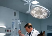 Doktor je već podigao špric da trudnici da injekciju kada mu je njemački ovčar iznenada skočio na rame i počeo mahnito lajati. Svi su mislili da je pas poludio, ali samo minutu kasnije, dogodilo se nešto što je cijelu bolničku sobu ostavilo smrznutu od užasa… 😳 😳