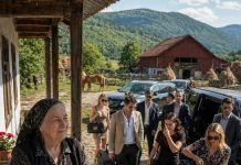 Kupila sam seosko imanje kako bih mirno provela mirovinu, ali moj je sin htio dovesti cijelu ekipu i rekao mi: „Ako ti ne odgovara, vrati se u grad.” Nisam rekla ništa. Ali kad su stigli, vidjeli su iznenađenje koje sam im pripremila.