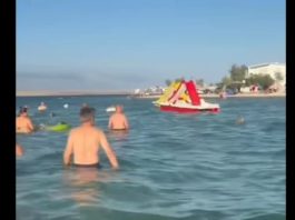 “Marš ti iz mora!” Snimak sa Hrvatske plaže izazvao lavinu komentara: Turisti iznervirani onim što su vidjeli u vodi pa ovo nije normalnoo (VIDEO)