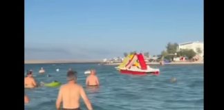 “Marš ti iz mora!” Snimak sa Hrvatske plaže izazvao lavinu komentara: Turisti iznervirani onim što su vidjeli u vodi pa ovo nije normalnoo (VIDEO)