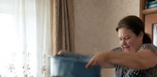 Svaki put kada je njen sin doveo djevojku kući da je upozna sa svojom majkom, žena bi joj bacila kantu otrovnih zmija preko glave kako bi je testirala; ali niko nije mogao ni zamisliti kako će se jedan od tih susreta završiti 😨