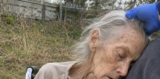 Pronašla sam 95-godišnju ženu omamljenu, kako sjedi u invalidskim kolicima uz pustu cestu, i odvezla je u bolnicu… Ali kad se probudila i ispričala nam što se dogodilo, svi su se ukočili