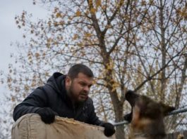 Samo sam htjela baciti svoj stari dušek, koji je već bio pocijepan na nekoliko mjesta, ali moj pas je zario zube u njega i nije mi dao da napravim ni jedan korak. U tom trenutku još uvijek nisam shvatala zašto se tako čudno ponaša, ali samo nekoliko minuta kasnije zažalila sam što sam uopće odlučila iznijeti taj dušek iz kuće. 😨😨