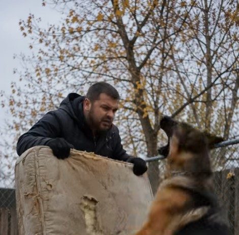 Samo sam htjela baciti svoj stari dušek, koji je već bio pocijepan na nekoliko mjesta, ali moj pas je zario zube u njega i nije mi dao da napravim ni jedan korak. U tom trenutku još uvijek nisam shvatala zašto se tako čudno ponaša, ali samo nekoliko minuta kasnije zažalila sam što sam uopće odlučila iznijeti taj dušek iz kuće. 😨😨