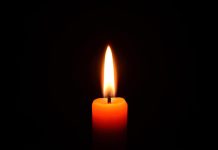 NEZAPAMĆENA TRAGEDIJA U SRBIJI: POPULARNI FUDBALER se srušio usred utakmice, saigrači gledali kako se BORI ZA ŽIVOT!