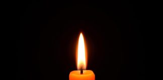NEZAPAMĆENA TRAGEDIJA U SRBIJI: POPULARNI FUDBALER se srušio usred utakmice, saigrači gledali kako se BORI ZA ŽIVOT!