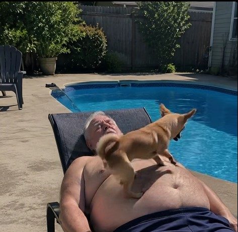 Svakog jutra njegov je sićušni pas skakao na njegova prsa i tjerao ga dalje od bazena — Mislio je da je postala agresivna sve dok veterinar nije postavio jedno zastrašujuće pitanje