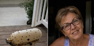 Susjeda me nagovorila da joj posudim mikser moje pokojne majke – onda ga je razbila, ostavila prljavog na mom trijemu i nekako me natjerala da se zapitam je li to bilo namjerno Susjeda me nagovorila da joj posudim mikser moje pokojne majke – onda ga je razbila, ostavila prljavog na mom trijemu i nekako me natjerala da se zapitam je li to bilo namjerno - featured image