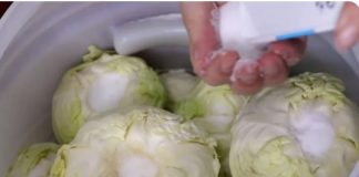 Koliko soli ide na 10 litara vode za kiseli kupus? Samo ovo je prava količina