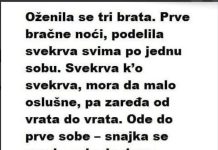 Oženila se tri brata. Prve bračne noći, podijelila svekrva…