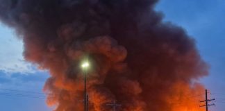 Veliki požar kod Vlasotinca zahvatio borovu šumu: Meštani prijavljivali ugrožene kuće, gašenje otežavao nepristupačan teren Veliki požar kod Vlasotinca zahvatio borovu šumu: Meštani prijavljivali ugrožene kuće, gašenje otežavao nepristupačan teren - featured image