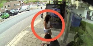 Životne Lekcije iz Tri Perspektive: Ljubav, Porodica i Obrazovanje