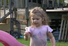 Djevojčica (2) danima ležala u ŠUMI: Kada su je pronašli, svojim riječima je RASPLAKALA cijelu zemlju
