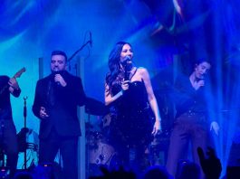 Ceca prekinula koncert, kad vidite šta su joj uradili, zaledit ćete se