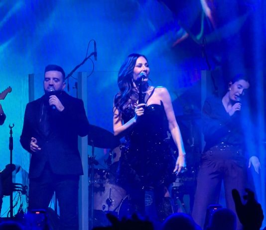 Ceca prekinula koncert, kad vidite šta su joj uradili, zaledit ćete se
