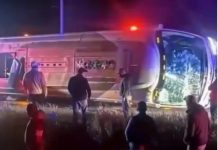 Teška nesreća na auto-putu: Kamion naleteo na kolonu vozila i izazvao potpuni haos