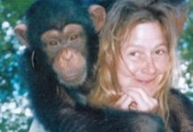 Sandra se godinama kupala i spavala sa šimpanzom ne sluteći šta će joj se desiti: Od užasa koji je doživela ni danas se nije oporavila