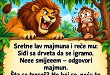 VIC: Majmun i lav
