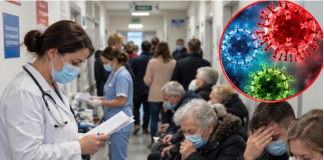 DOMOVI ZDRAVLJA PUNI, VIŠE OD 300 PREGLEDA ZA DAN, BOLESNI STARI I MLADI! Haraju 3 virusa, ovo su ključni simptomi!